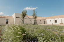 Load image into Gallery viewer, Puglia Reformer Pilates &amp; Wellness Retreat 7-12 September 2027
