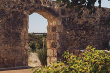 Load image into Gallery viewer, Puglia Reformer Pilates &amp; Wellness Retreat 7-12 September 2027
