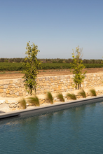 Load image into Gallery viewer, Puglia Reformer Pilates &amp; Wellness Retreat 7-12 September 2027
